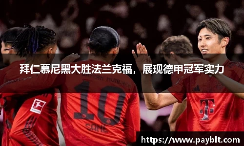 28圈官网版下载