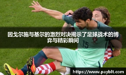 28圈官网版下载