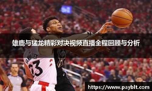 28圈官网版下载