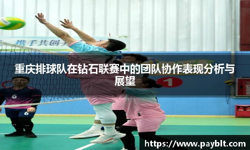 28圈官网版下载