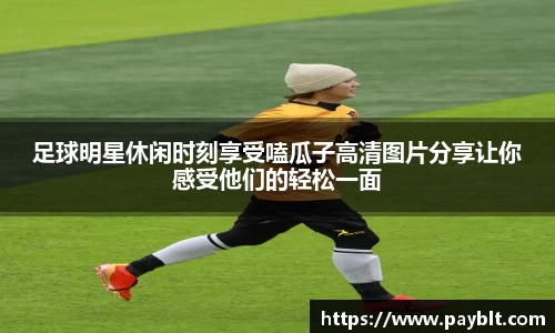 28圈官网版下载