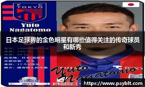 28圈官网版下载